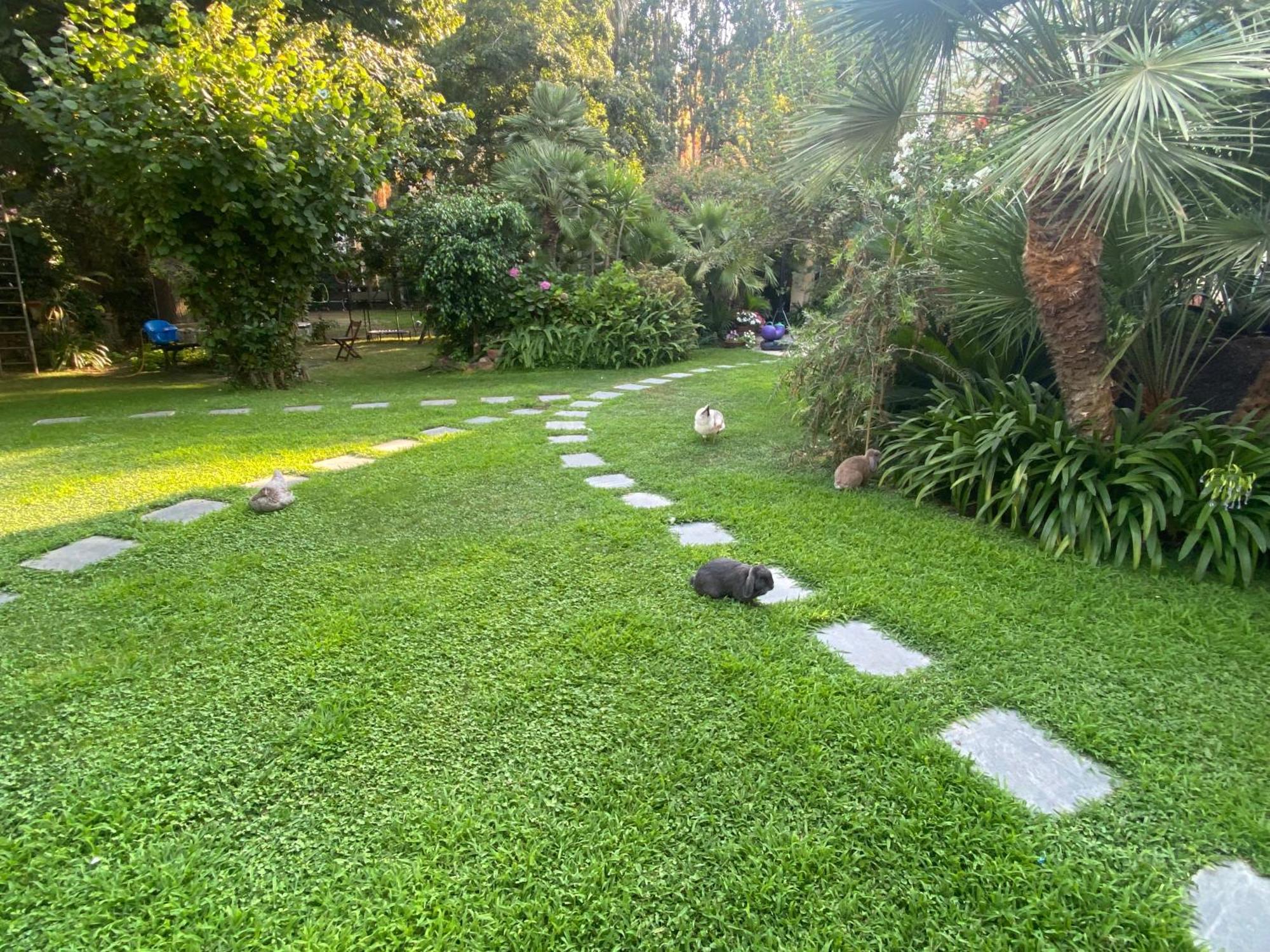 Villa Angelina Casa Limone Vallecrosia Exterior foto
